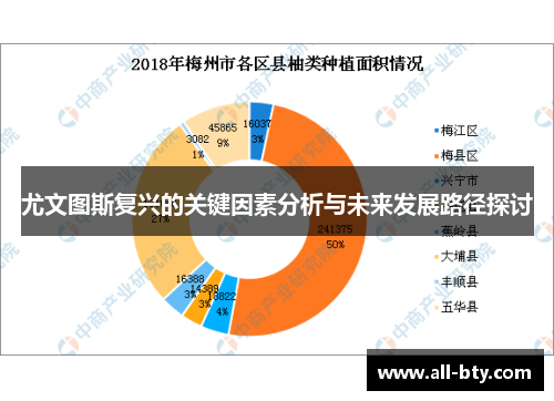 尤文图斯复兴的关键因素分析与未来发展路径探讨