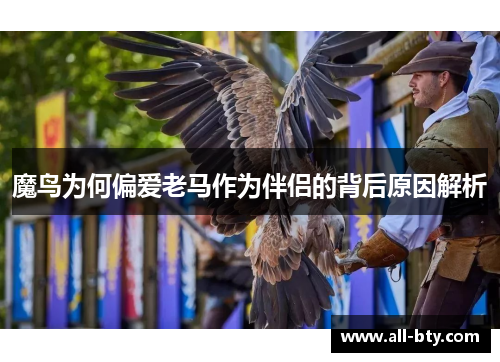 魔鸟为何偏爱老马作为伴侣的背后原因解析